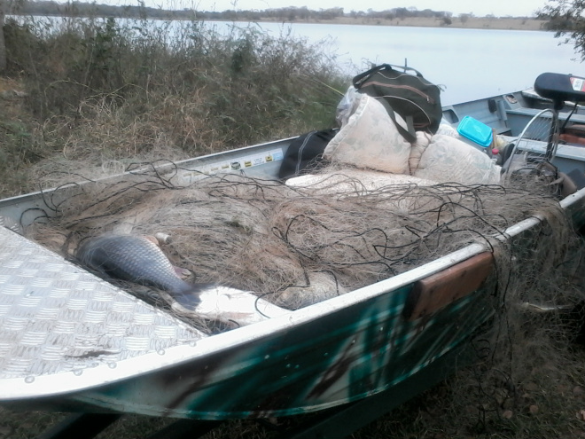 Os policiais ainda soltaram mais 15 kg de peixes que estavam vivos nas redes de pesca (Foto: Divulgação/PMA)