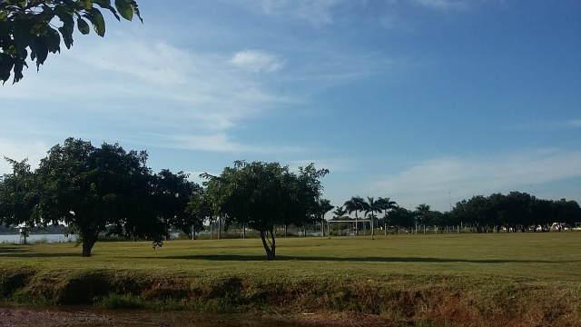 Um céu azul, em meio a vegetação verde da Lagoa Maior em Três Lagoas. (Foto: Patrícia Miranda)