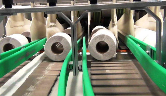 Indústria de papel descumpre acordo e perde incentivos fiscais do governo Dentre os produtos fabricados pela empresa estão papéis higiênicos (Foto: Google)