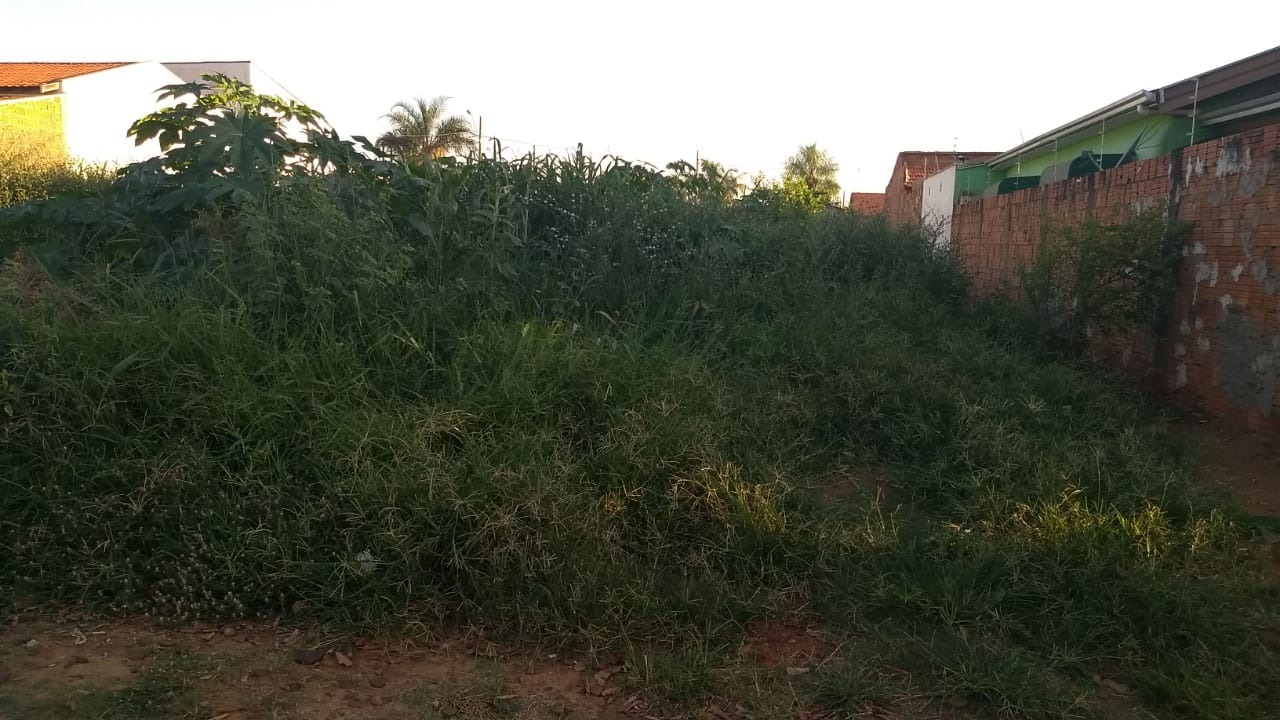 Prefeitura notifica de forma genérica a todos os donos de terrenos da cidade Terreno na rua Protásio Garcia Leal, em foto enviada por um leitor do Perfil News. Todos os proprietários serão notificados a limpar seus terrenos. Foto: Arquivo Perfil News.