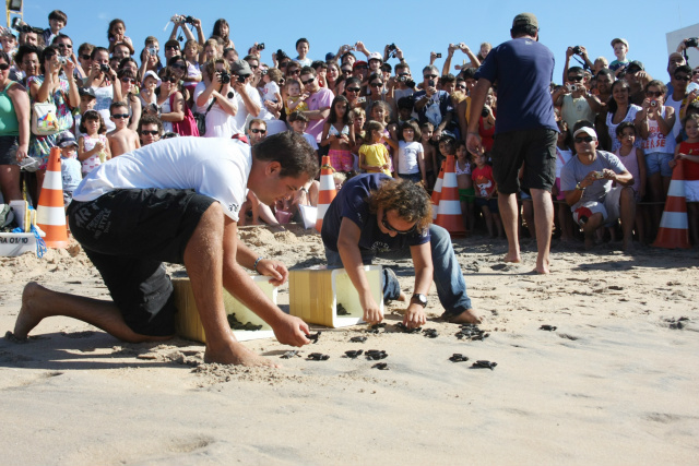 Projeto Tamar comemora 35 anos com shows gratuitos no nordeste A Petrobras contribui para preservação de 2 milhões de tartarugas marinhas por ano no Brasil. (Foto: Divulgação)