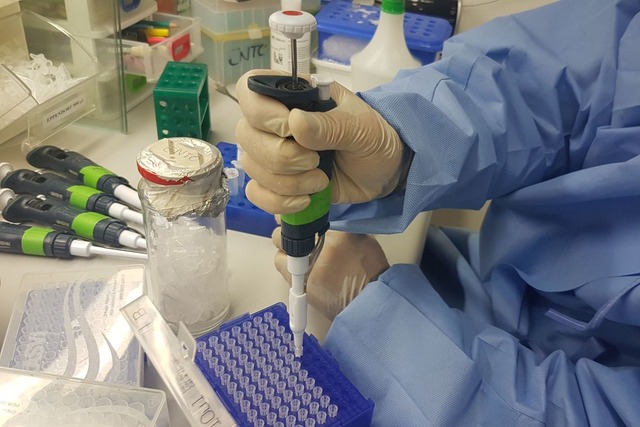 Fiocruz desenvolve teste para Zika mais barato e rápido Sumaia Villela/Agência Brasil
