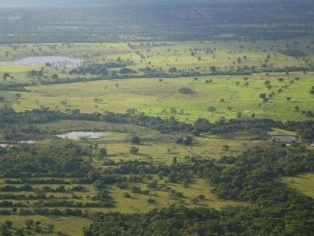 Levantamento feito pelo jornal Estado de São Paulo mostra que há 679 propriedades rurais sob domínio de estrangeiros no estado