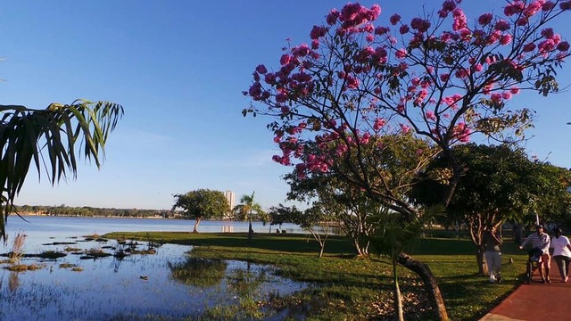 Previsão de muito sol para esta quinta-feira em Três Lagoas (Foto:Ricardo Ojeda/Perfil News)