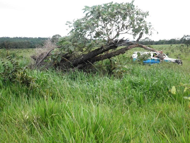 Pecuarista é multado em R$ 38 mil por desmatamento ilegal de cerrado Policiais mediram a área degradada com uso de GPS em MS (Foto: Polícia Militar Ambiental/Divulgação)