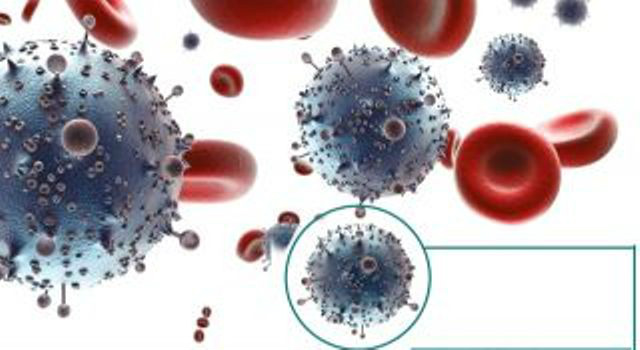 O anticorpo em combate ao vírus da AIDS. (Foto: Divulgação)