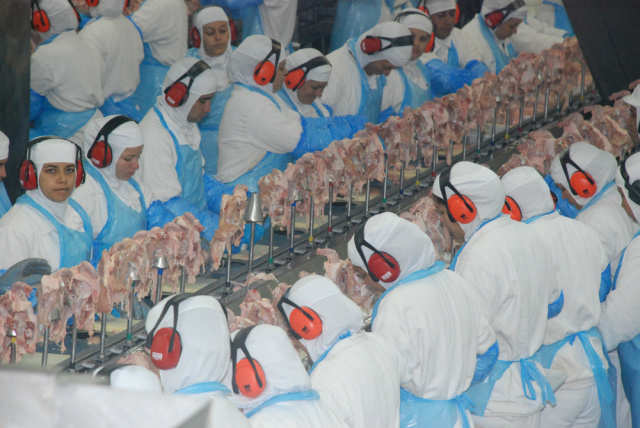 O setor de carne obteve queda de 24,5% no primeiro trimestre deste ano ano. (Foto: Divulgação)