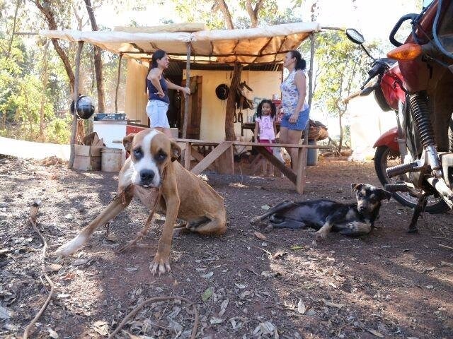 Famílias ainda se instalando na rodovia no trecho em Terenos: negociação com o Incra e desapego político