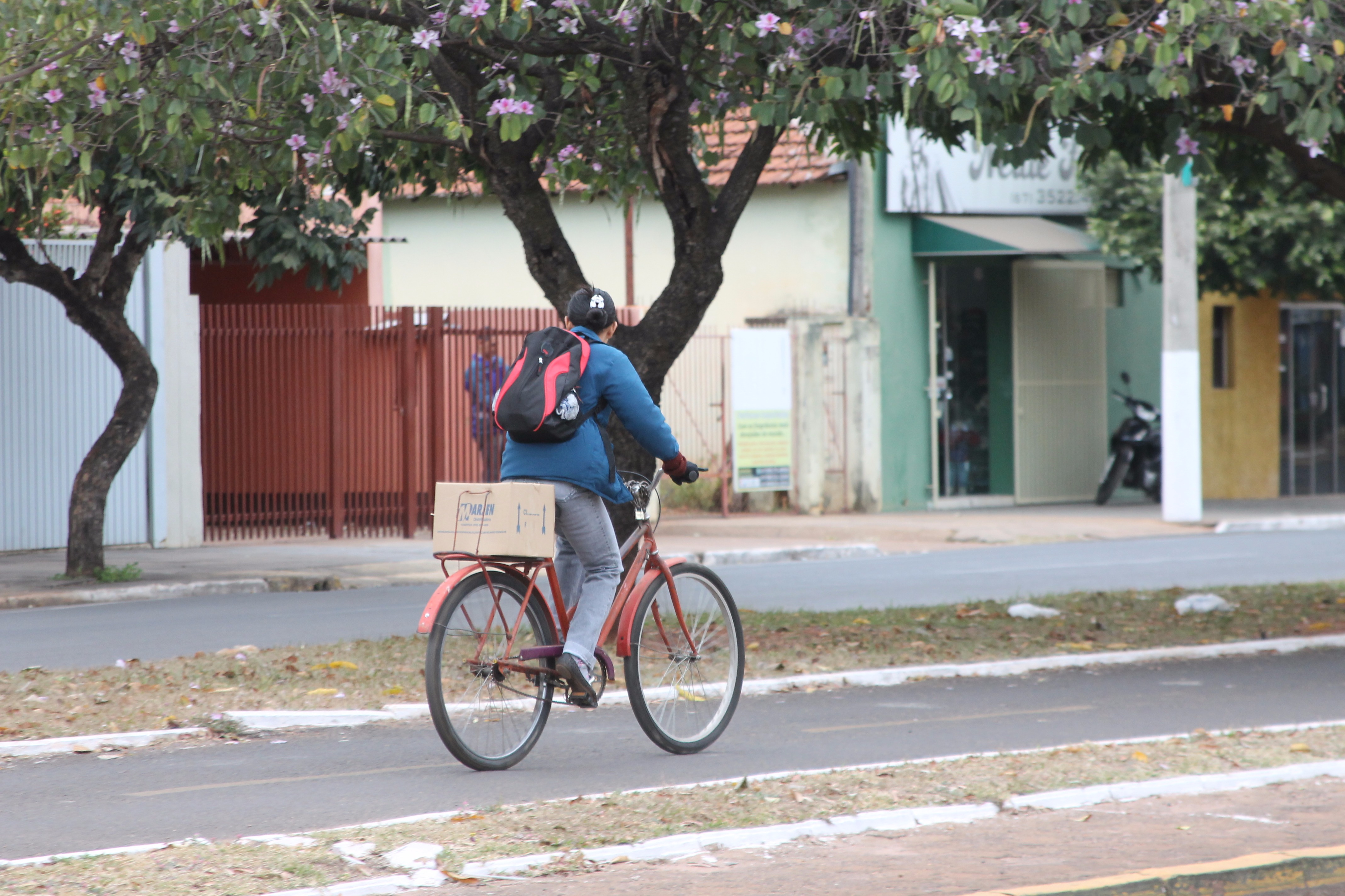 (Foto: Lucas Gustavo/ Perfil News). 