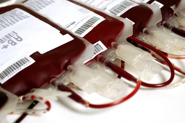 Surto de dengue em Três Lagoas faz Hemosul entrar em campanha por doação de sangue Foto ilustrativa