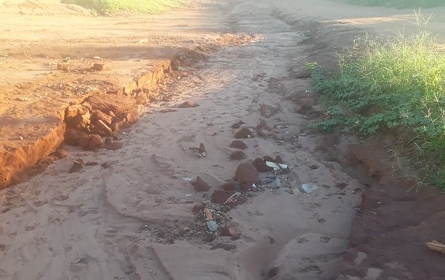 Leitores reclamam de mato alto em terrenos e de buraco na via BURACO - Vila Nova