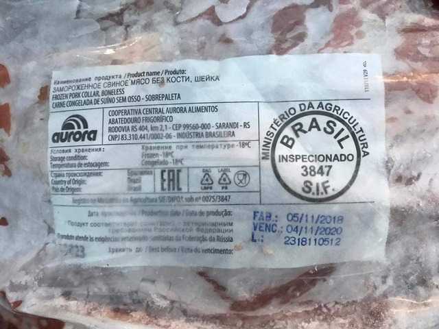 Foto:  Divulgação