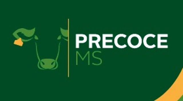 Atualização do cadastro no Precoce MS termina dia 31 de dezembro