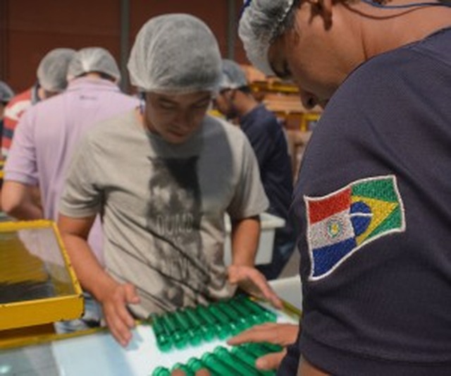 Após um ano, programa atraiu apenas três indústrias em Mato Grosso do Sul Fábricas brasileiras se instalam no Paraguai para fugir dos impostos e pagar conta de energia e mão de obra mais baratas - Foto: Paulo Ribas/Arquivo