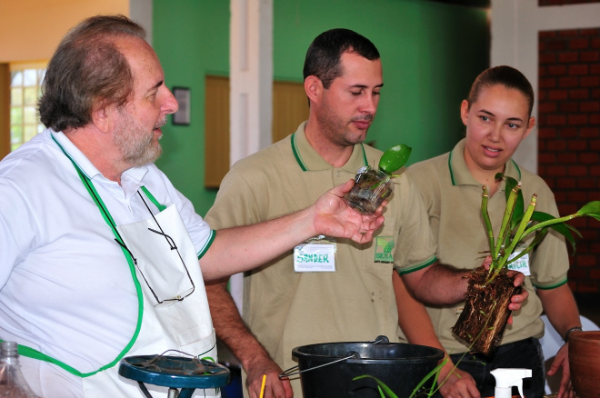 A partir desta terça-feira (23), o Serviço de Aprendizagem Rural de Mato Grosso do Sul - Senar/MS promove até o dia 24 de agosto, o Curso de Cultivo de Orquídeas.