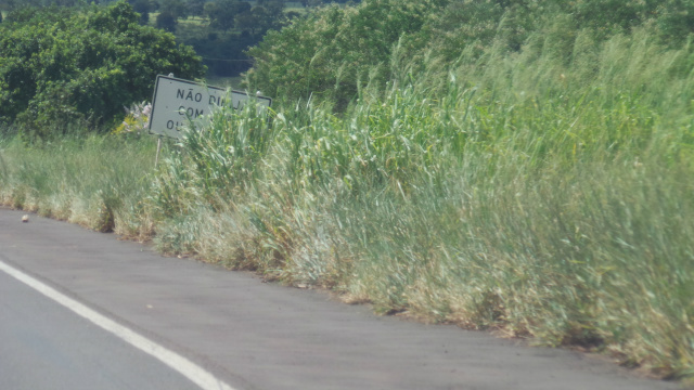 BR-262 está ponteada de trechos perigosos, entre Três Lagoas e Capital Placas informativas escondidas pela vegetação é outra fato que compromete a segurança da via (Foto: Ricardo Ojeda)