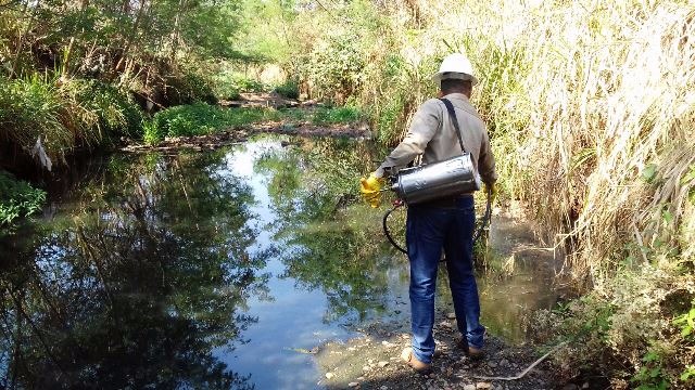 Saúde continua bloqueio químico contra mosquitos no Córrego do Jardim Brasília Foi feito um trabalho de borrifação para eliminar os criadouros de mosquitos (Foto/Assessoria)