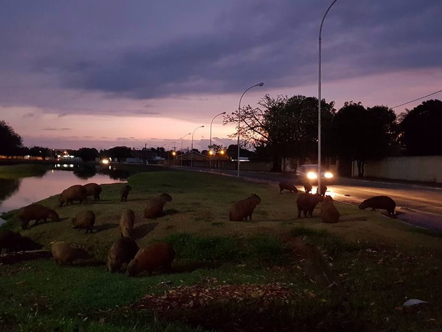 Céu com muitas nuvens, previsão para este sábado é de chuva a qualquer momento do dia Foto: Ricardo Ojeda