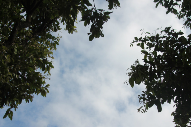 Apesar das nuvens em formação, de acordo com o site Climatempo, não há possibilidade de chuva para hoje. (Foto: Patrícia Miranda)