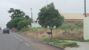 Ministério Público e prefeitura montam “força tarefa” para combater sujeira em Três Lagoas Outro terreno localizado no Vila Nova e que os moradores denunciaram à reportagem da existência de caramujos e escorpiões que invadem suas casas (Foto: Ricardo Ojeda)