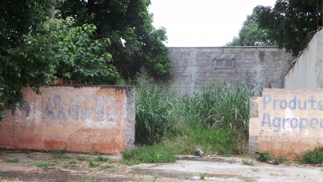 Ministério Público e prefeitura montam “força tarefa” para combater sujeira em Três Lagoas Imóvel localizado na rua Municipal, nas proximidades da Ike Temakeria tomado pelo mato (Foto: Ricardo Ojeda)