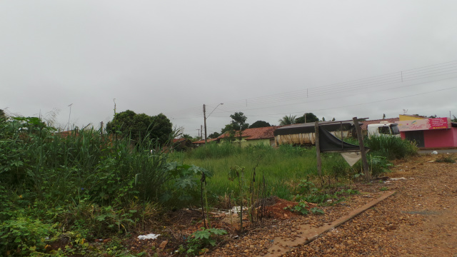 Terreno localizado nas proximidades da Clinica da Criança, que segundo os moradores pertence à prefeitura e não recebe serviço  de roçada há tempos (Foto: Ricardo Ojeda)