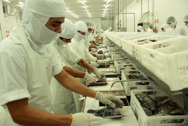 A produção industrial foi variável com o pior desempenho (Foto/Assessoria)