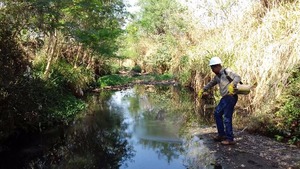 Saúde continua bloqueio químico contra mosquitos no Córrego do Jardim Brasília Saúde continua bloqueio químico contra mosquitos no Córrego do Jardim Brasília