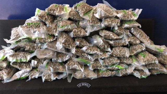 Rapaz é preso com 54 quilos de maconha embalada a vácuo em MS Maconha foi dividida em embalagens a vácuo para enganar fiscalização, segundo PMR (Foto: PMR/Divulgação)