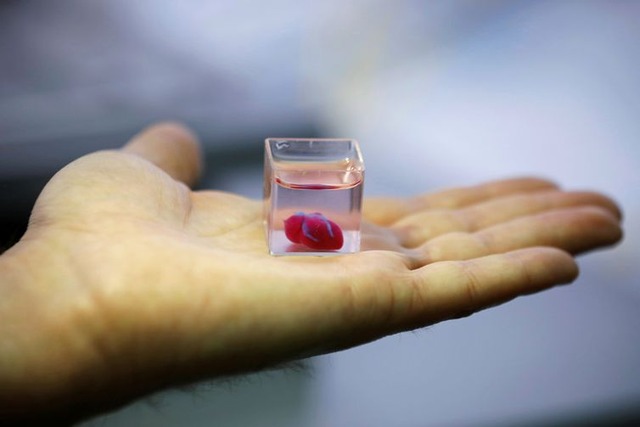 Coração é impresso em 3D em Israel a partir de tecido humano Copo transparente com o que os cientistas israelenses dizem ser o primeiro coração vascularizado impresso em 3D e vascularizado do mundo (REUTERS/Amir Cohen TPX IMAGES/Direitos reservados)