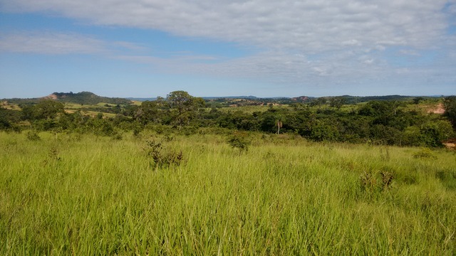 PMA autua pecuarista em R$ 108 mil por desmatamento ilegal Madeira proveniente das árvores derrubadas no desmatamento não se encontrava no local. (Foto: Divulgação/PMA)