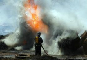 Casos de incêndios triplicaram este ano em MS Número de queimadas triplicou no Estado neste ano
Foto: Edemir Rodrigues