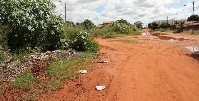 Vereadores realizam indicações para melhorias no trânsito, esgoto e saúde Foi solicitada em regime de urgência a roçada nos terrenos baldios. (Foto: Divulgação)