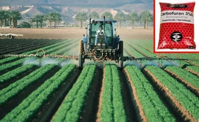 Anvisa proíbe agrotóxico que mobilizou redes sociais por riscos à saúde humana O carbofurano (detalhe) é usado para tratar sementes ou diretamente no solo (foto: Pixabay e Internet/Reprodução)