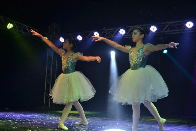 O projeto tem como objetivo promover os artistas formais da cidade (Foto/Assessoria)