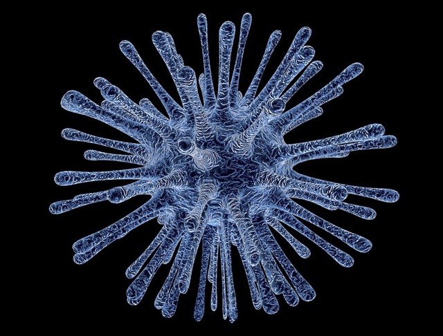 O que é o HTLV-1, vírus pouco conhecido que atinge mais de 800 mil brasileiros Foto: Pixabay