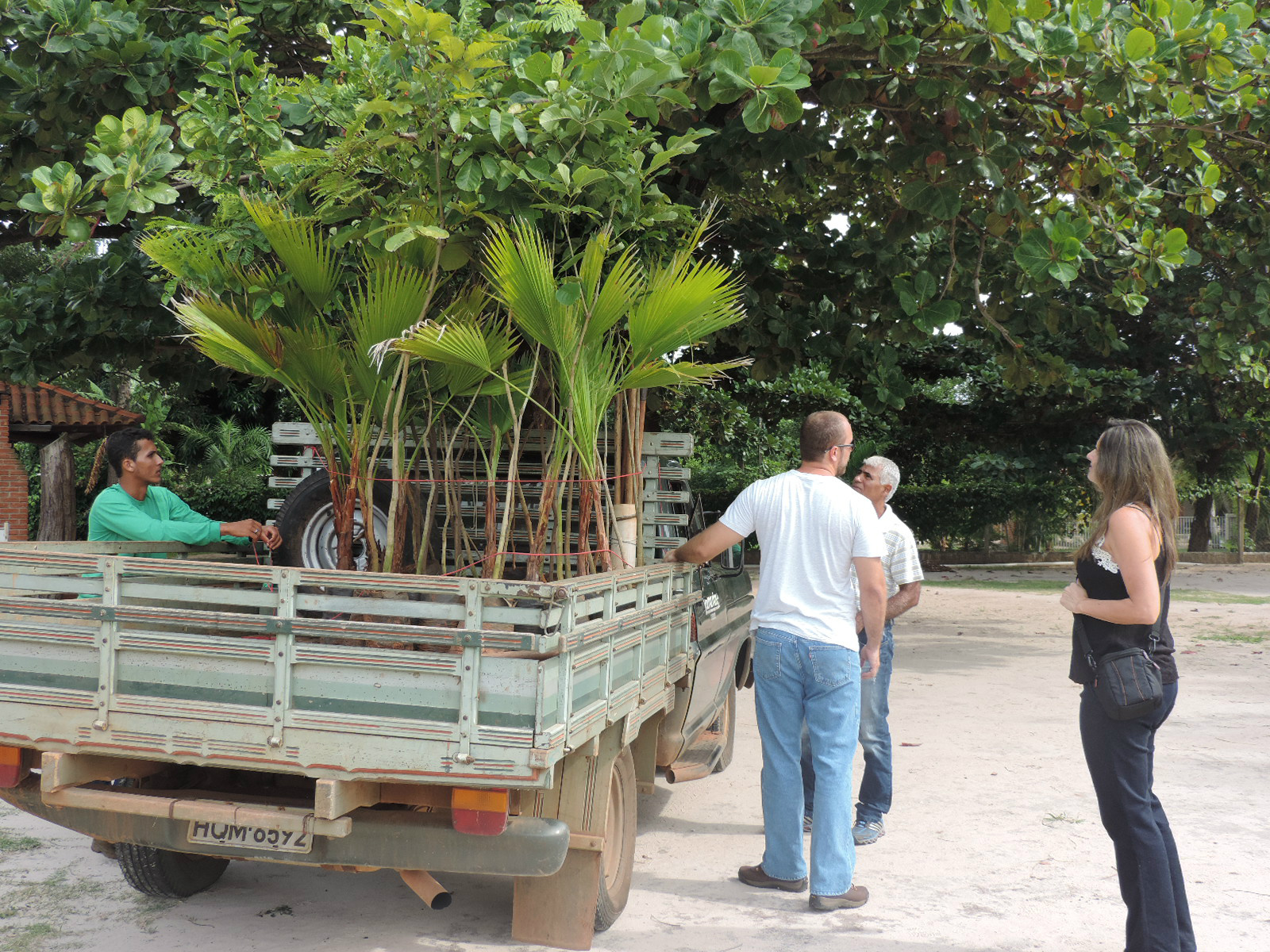 Aproximadamente 40 mudas de espécies de plantas nativas e palmeiras foram plantadas no Balneário Municipal 