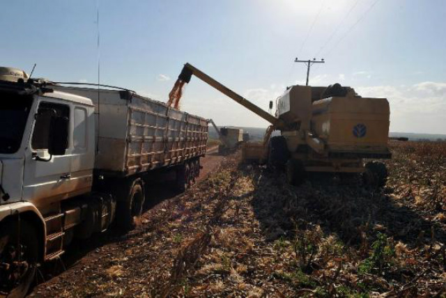 Produtores alertam que protestos podem prejudicar escoamento de grãos Frete tem papel fundamental na tabela de preços da soja e do milho, diz associação de produtores. (Foto: Arquivo/Agência Brasil)