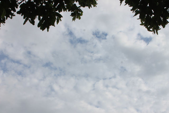 Com bastante nuvens, há possibilidade de chuva nesta quarta-feira em Três Lagoas. (Foto: Patrícia Miranda)