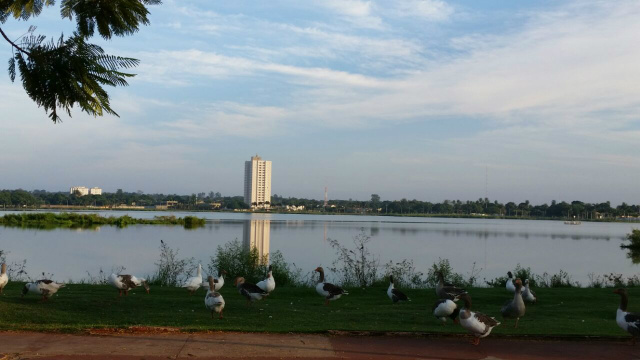 Alguns animais na pista de caminhada da Lagoa Maior, contribuíram para a paisagem do local. (Foto: Ricardo Ojeda)