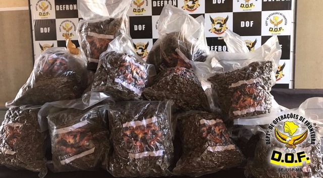 Carro é abandonado com 286 kg de maconha orgânica em MS O automóvel as drogas foram entregues na Delegacia Especializada de Repressão aos Crimes de Fronteira (Defron) para os procedimentos legais. (Foto: DOF)