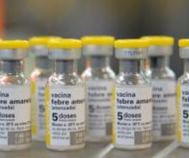 Sociedades médicas divulgam orientações sobre vacinação contra a febre amarela Sociedades médicas atualizaram a lista de quem pode ou não ser vacinado - Foto: Rovena Rosa/Agência Brasil/Arquivo