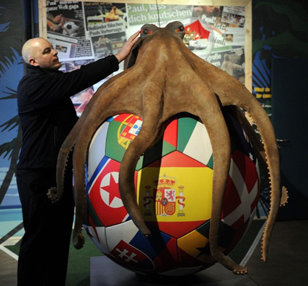 Aquário alemão inaugura memorial para o polvo Paul com as suas cinzas
