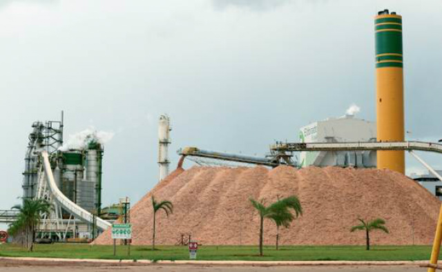 A receita da Eldorado Brasil cresceu 37% em relação à 2014. (Foto: Divulgação)