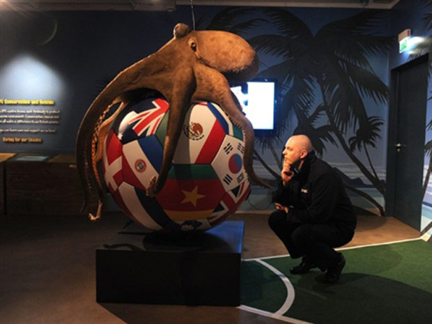 Abraçando uma bola com as bandeiras dos países que participaram do torneio mundial de futebol, o polvo gigante que simboliza Paul, é observado na foto pelo gerente Stefan Porwoll. (Foto: Patrik Stollarz / AFP Photo)