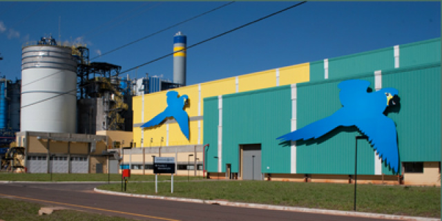 International Paper anuncia resultados do primeiro trimestre de 2015 Fábrica da International Paper em Três Lagoas. (Foto: Divulgação)