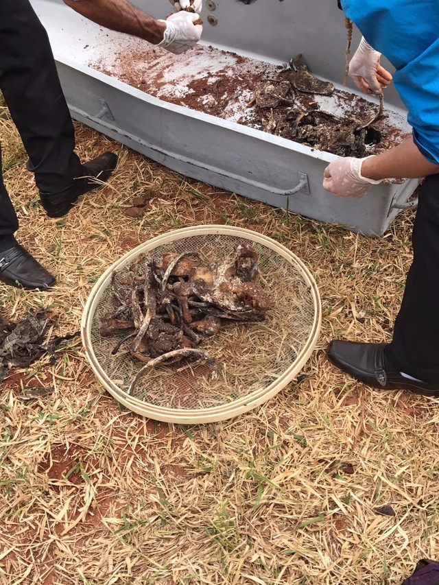 Corpos de indígenas são encontrados enterrados em fazenda de MS Corpos de índios são encontrados enterrados em fazenda de Iguatemi, MS (Foto: Polícia Civil/Divulgação)