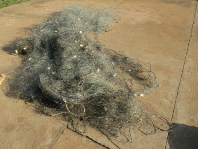 Foram aprendidas as redes de pesca e soltos no rio, 20 kg de peixes que estavam vivos presos às redes (Foto: Divulgação/ PMA)