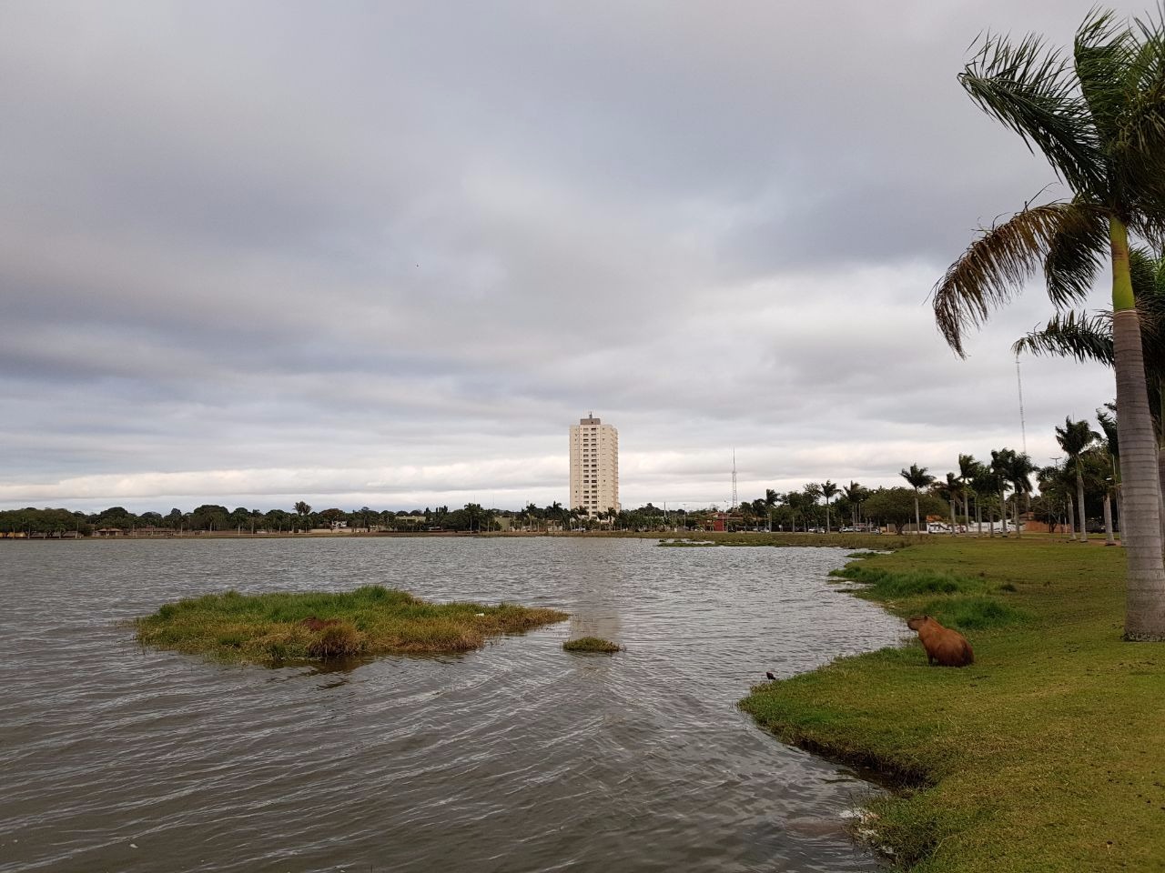 Quinta amanhece gelada e com céu nublado em Três Lagoas Lagoa Maior, Três Lagoas. (Foto: Ricardo Ojeda/ Perfil News).