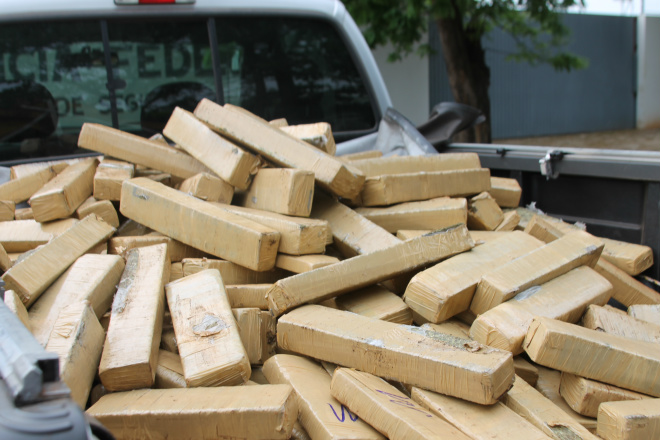 Polícia Federal de Três Lagoas tira de circulação 700 quilos de maconha De acordo com o delegado Daniel Couraça Junior, titular da Polícia Federal de Três Lagoas, aproximadamente 700 quilos de maconha estava sendo transportada para a capital paulista (Fotos: Ricardo Ojeda)